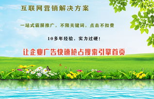 四川绵阳小微型企业做哪种网络推广方式比较好